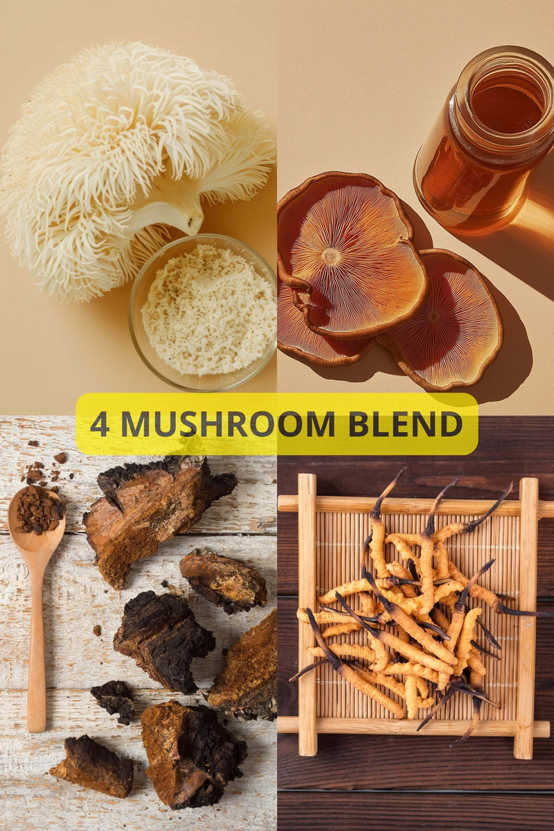 4 MUSHROOM BLEND (Lion&