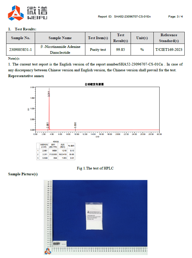 NAD+ 99% proszek, Dinukleotyd PODJĘZYKOWY, metabolit NMN
