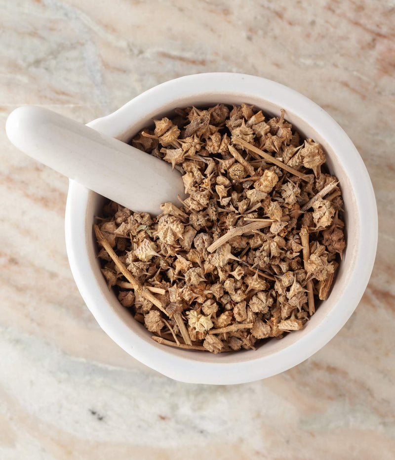 Buzdyganek naziemny 210 mg (Tribulus terrestris) 10:1, 95% saponin 100 kapsułek