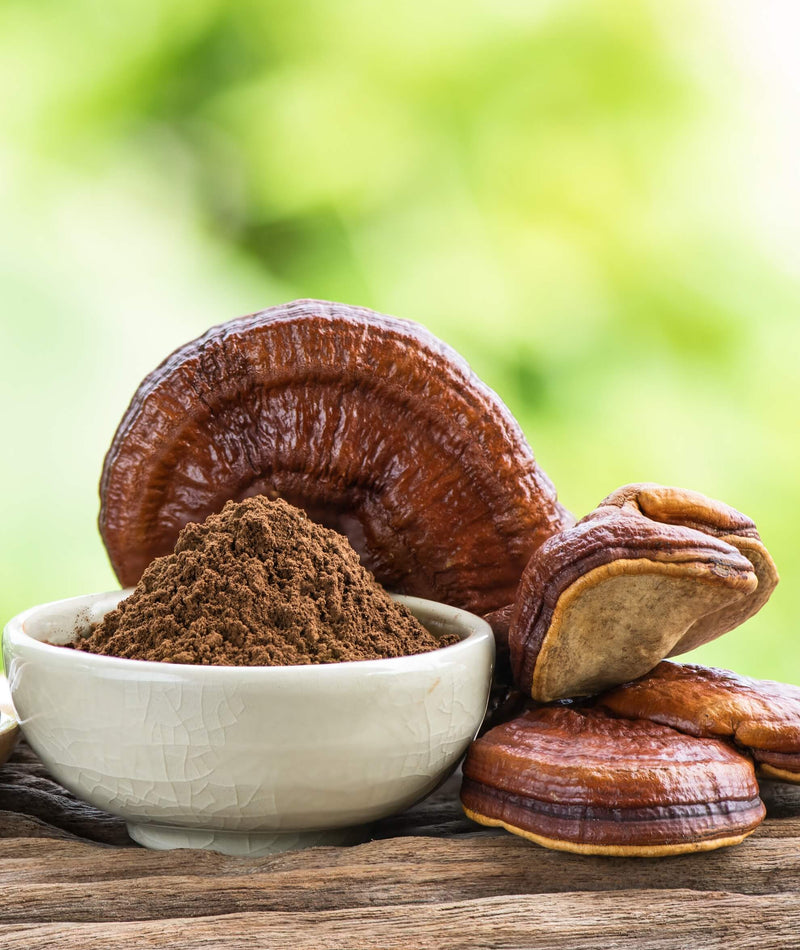 REISHI ekstrakt DER 12:1 (50% polisacharydów, 30% beta-glukanów, 2% triterpenów) 90 kapsułek 500 mg