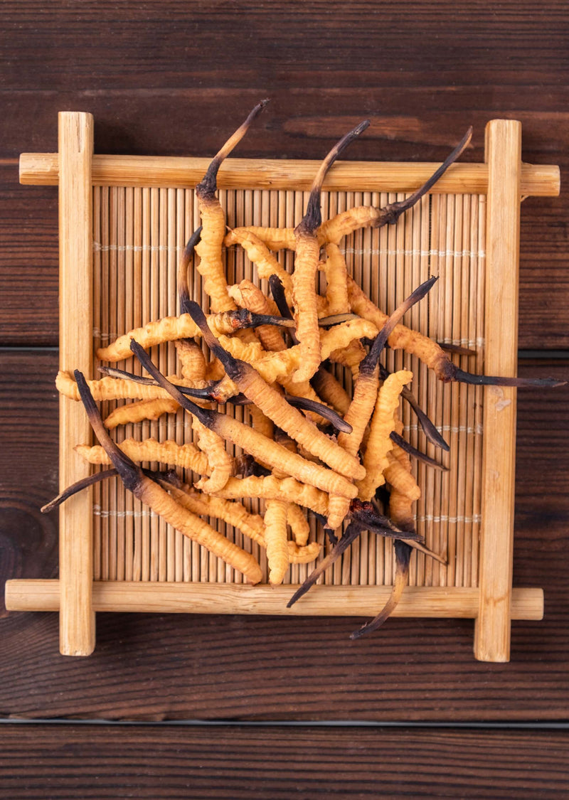 Cordyceps sinensis (Maczużnik chiński) DER 40:1 90 kapsułek 500 mg