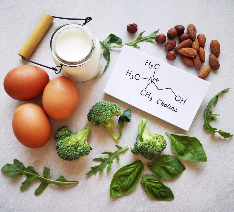 Cholina 500 mg (dwuwinian choliny) - 100 kapsułek