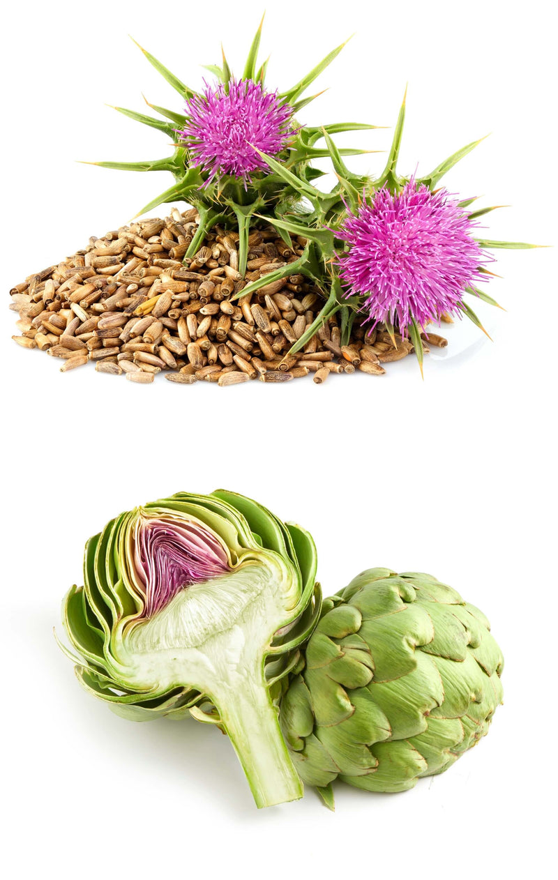 Ostropest plamisty 25:1 + karczoch 440 mg (sylimaryna 80%) 100 kapsułek