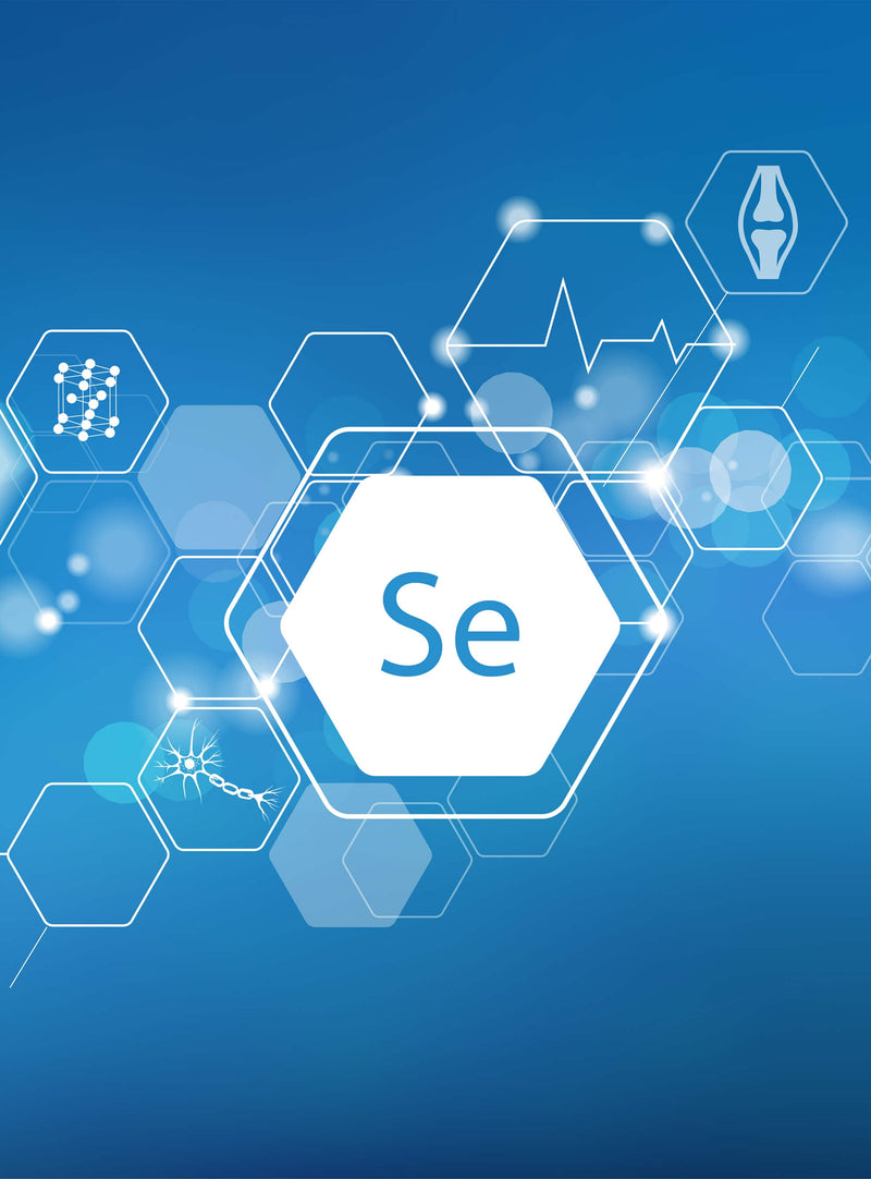 Selen organiczny 200 µg (L-selenometionina) 120 kapsułek